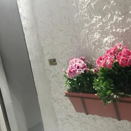 Дом отдыха Ortensia C House Катания