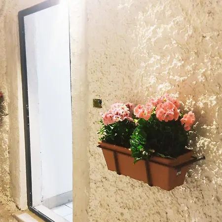 Дом отдыха Ortensia C House Катания