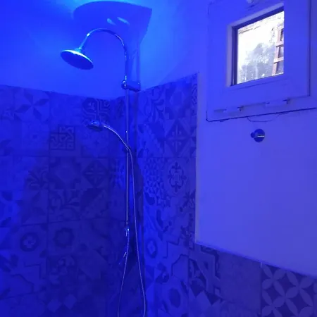 Ortensia C House