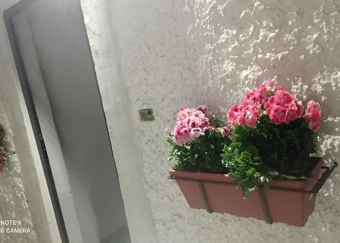 Дом отдыха Ortensia C House Катания
