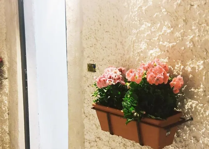 Дом отдыха Ortensia C House Катания